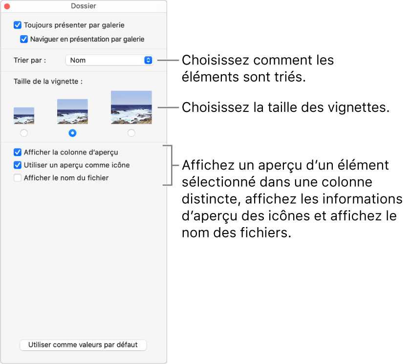 Options de présentation d’un dossier par galeries.