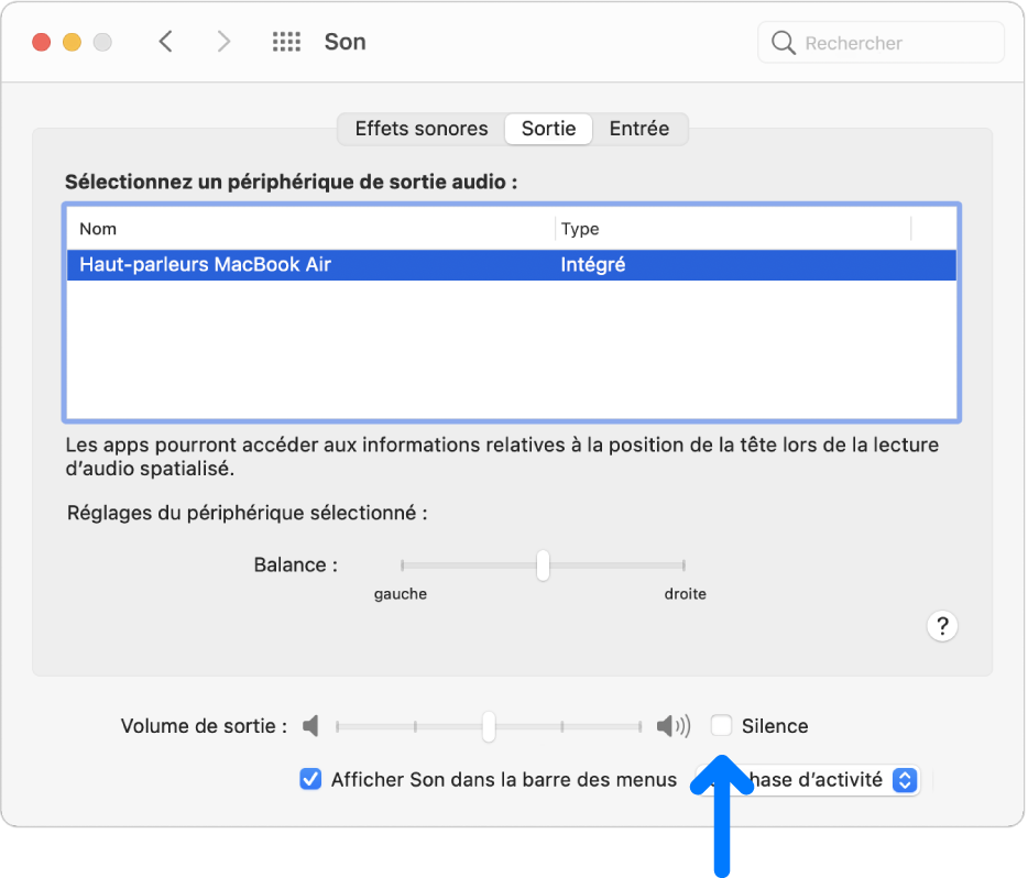La case Silence en bas de la sous-fenêtre de préférences Son.