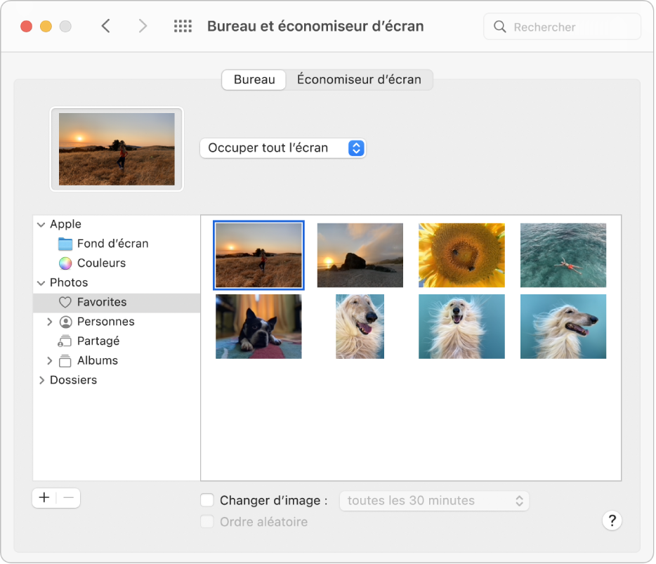 La sous-fenêtre Bureau des préférences Bureau et économiseur d’écran. Du côté gauche de la sous-fenêtre, le dossier Photos Favorites est sélectionné ; du côté droit, une photo est sélectionnée comme image du bureau