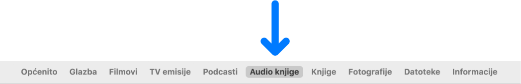 Traka s tipkama u kojoj su odabrane Audio knjige.