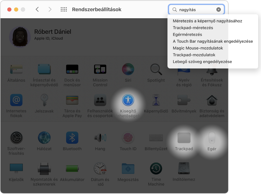 A Rendszerbeállítások ablaka a „nagyítás” ikont jeleníti meg a keresőmezőben, az egyező találatok listája a keresőmező alatt és három kiemelt beállításikon.