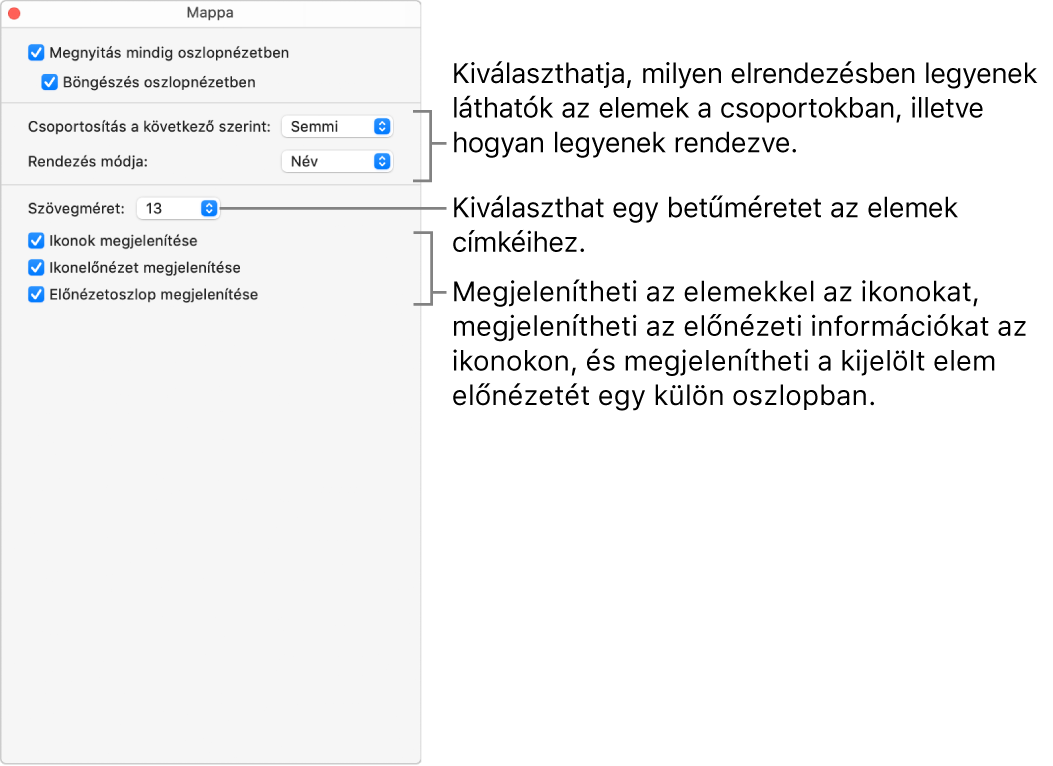 Mappa oszlopnézet beállításai.