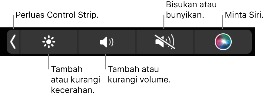 Control Strip yang diciutkan meliputi tombol—dari kiri ke kanan—untuk memperluas Control Strip, menambah dan mengurangi kecerahan layar dan volume, membisukan atau membunyikan, dan menggunakan Siri.