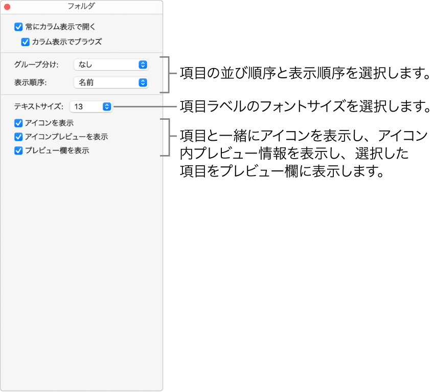 フォルダのカラム表示のオプション。