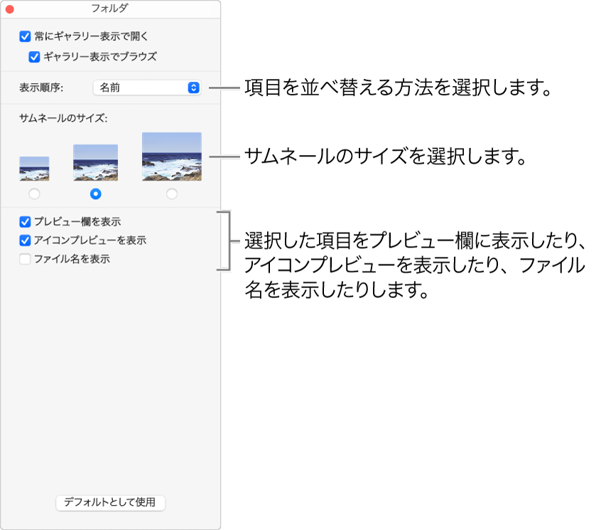 フォルダのギャラリー表示のオプション。