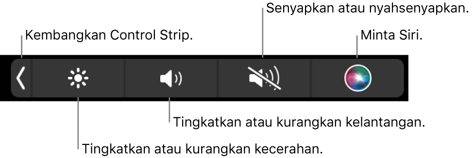 Control Strip yang diruntuhkan termasuk butang—dari kiri ke kanan—untuk mengembangkan Control Strip, meningkatkan atau mengurangkan kecerahan dan kelantangan, senyapkan atau nyahsenyapkan serta menggunakan Siri.