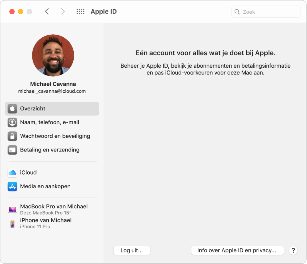 Het paneel 'Apple ID' in Systeemvoorkeuren, met een navigatiekolom met daarin verschillende typen accountopties die je kunt gebruiken, en het voorkeurenpaneel 'Overzicht' voor een bestaande account.