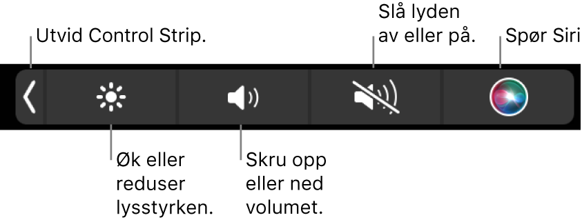 Når Control Strip er minimert, inneholder den knapper, fra venstre mot høyre, for å utvide Control Strip, øke eller redusere lysstyrke og volum, slå lyden av eller på og bruke Siri.