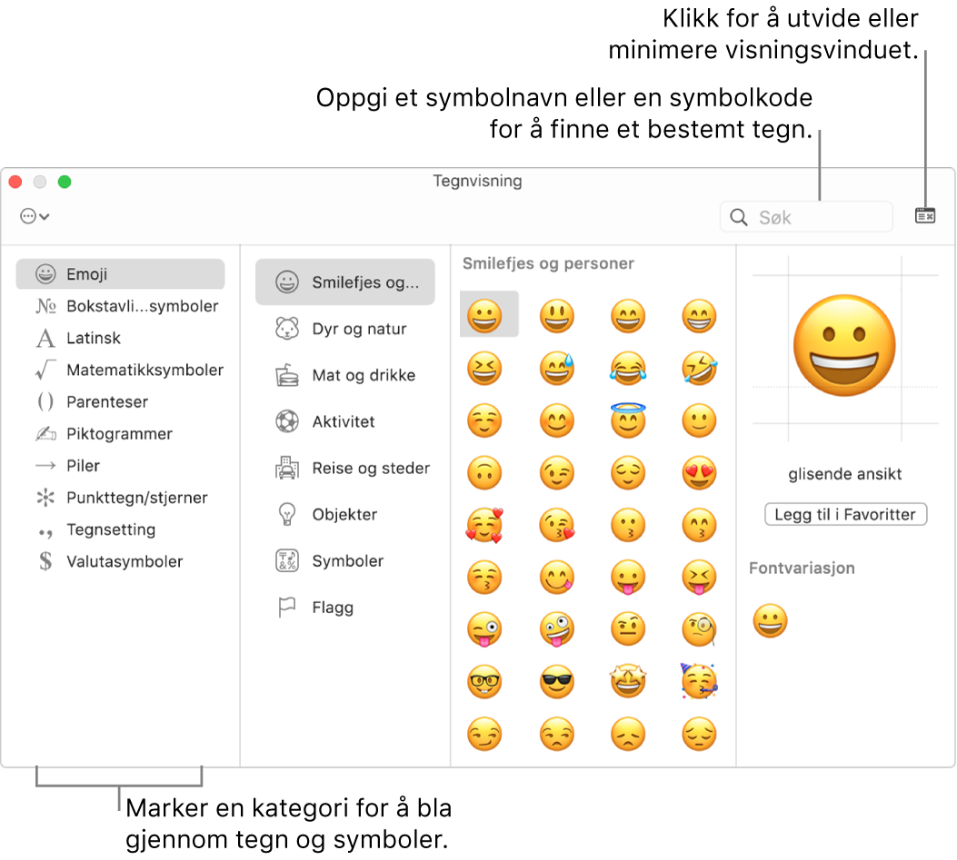 Tegnvisning-vinduet. Marker en kategori til venstre for å bla gjennom tegn eller symboler. Skriv inn et symbolnavn eller en symbolkode i søkefeltet for å finne et bestemt tegn. Klikk i øvre høyre hjørne for å utvide eller minimere visningen.