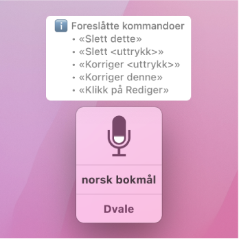 Tilbakemeldingsvinduet i Talekontroll med foreslåtte tekstkommandoer, som «Slett det» eller «Klikk på rediger», vises over det.