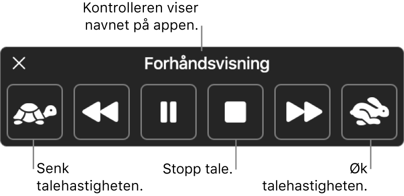 Kontrolleren på skjermen som kan vises når Macen leser opp markert tekst. Kontrolleren har seks knapper der du, fra venstre til høyre, kan redusere talehastigheten, hoppe bakover én setning, spille av opplesingen eller stoppe opplesingen midlertidig, stoppe opplesingen, hoppe framover i én setning og øke talehastigheten. Navnet på appen vises øverst på kontrolleren.