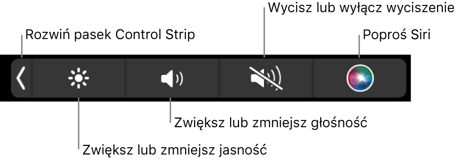 Zwinięty Control Strip zawiera przyciski (od lewej do prawej) pozwalające rozwijać Control Strip, zwiększać lub zmniejszać jasność ekranu i głośność, wyciszać lub włączać dźwięk, a także używać Siri.