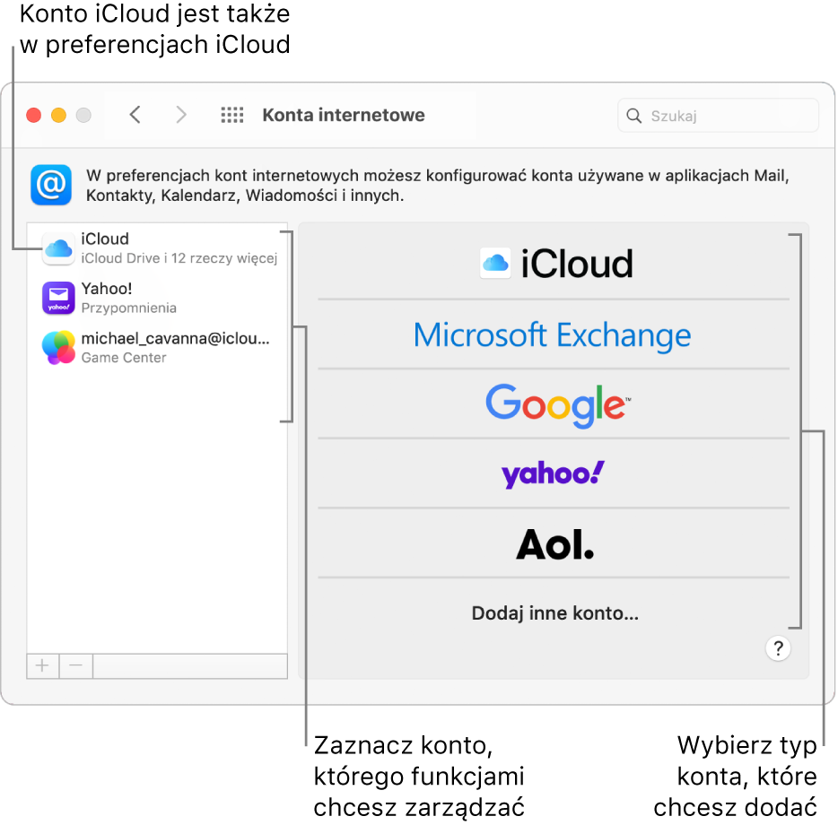 Preferencje kont internetowych; na liście po prawej widoczne są konta, a po lewej widoczna jest lista dostępnych typów kont.
