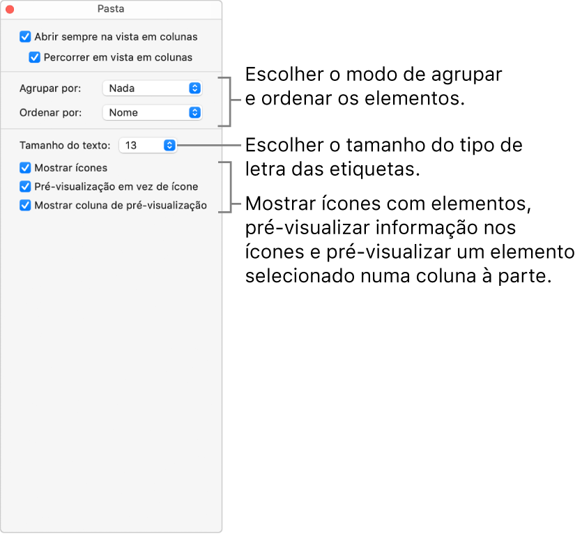 Opções de vista de colunas para uma pasta.