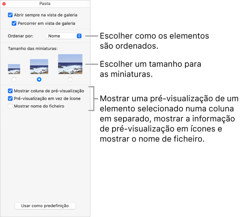 Opções de vista de galeria para uma pasta.