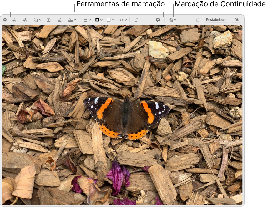 Uma imagem na janela Marcação a mostrar a barra de ferramentas de Marcação e a ferramenta para clicar para usar a Marcação do Continuidade num iPhone ou iPad que esteja por perto.