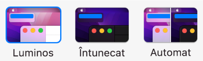 De la stânga la dreapta, mostre ale opțiunilor Luminos, Întunecat și Auto sunt afișate în preferințele General.
