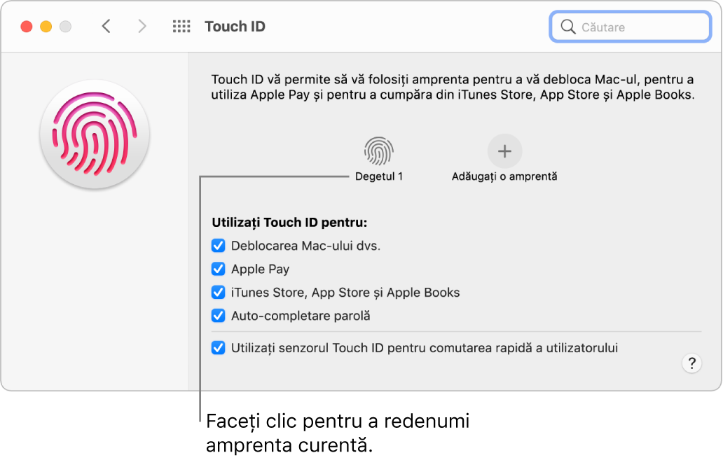 Panoul de preferințe Touch ID afișând o amprentă pregătită și gata de a fi utilizată pentru deblocarea Mac-ului.