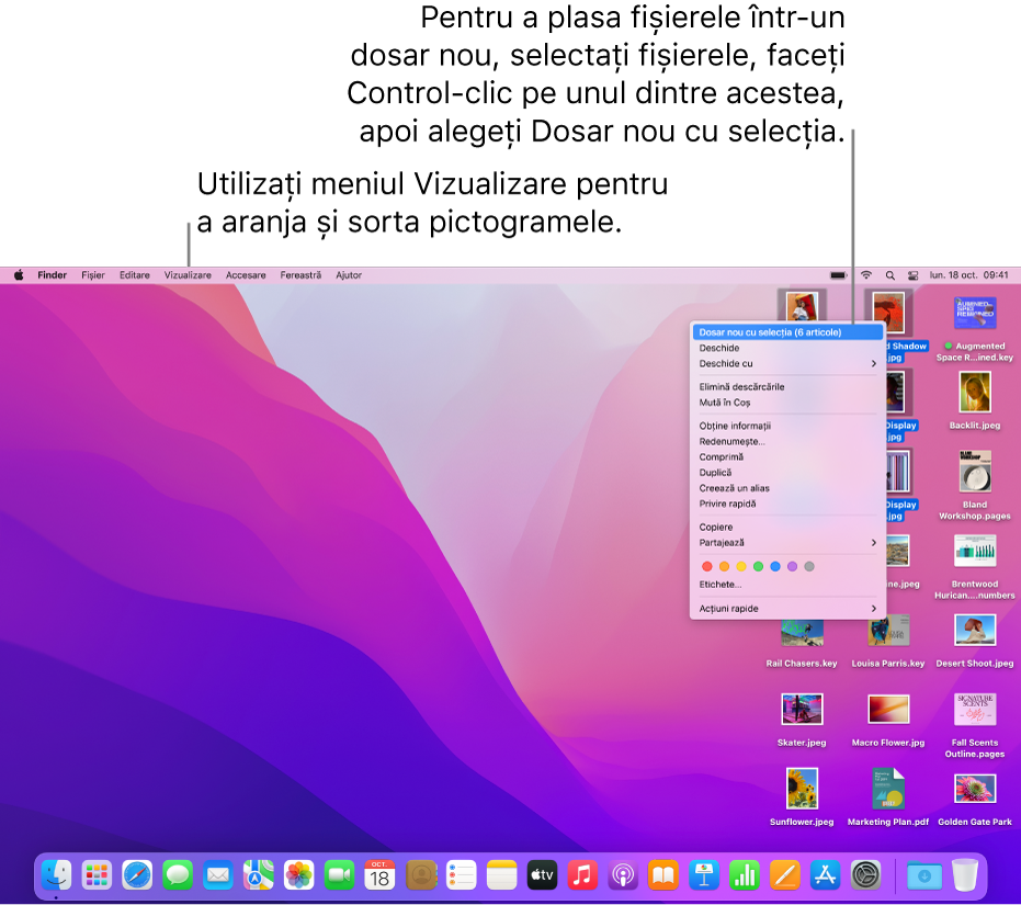Un desktop care afișează fișiere și dosare. Mai multe fișiere sunt selectate pentru a fi plasate într‑un dosar nou. Un Control‑clic pe un fișier selectat afișează un meniu pop‑up și este afișată opțiunea Dosar nou cu selecția.