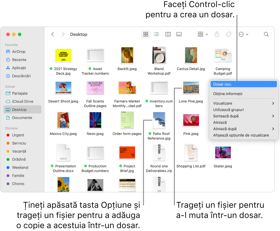 O fereastră Finder conținând fișiere și dosare. În meniul de scurtături, este evidențiată opțiunea Dosar nou.