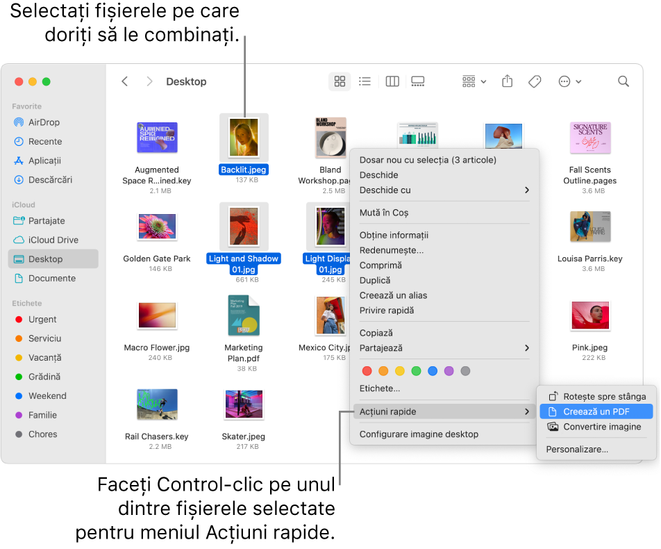 O fereastră Finder cu fișiere și dosare, în care sunt selectate trei fișiere și opțiunea Creeză un PDF este evidențiată în meniul Acțiuni rapide.