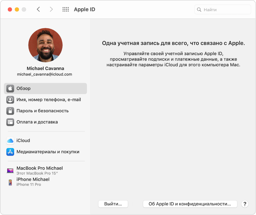 Настройки Apple ID. В боковой панели показаны доступные типы учетных записей, а также панель настроек «Обзор» для существующей учетной записи.