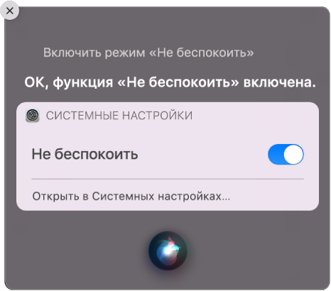 В окне Siri показан запрос о выполнении задачи: «Включи "Не беспокоить"».