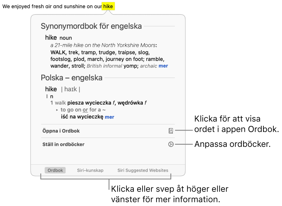 Fönstret Slå upp med definitioner för ett ord från Ordbok och Synonymordbok.