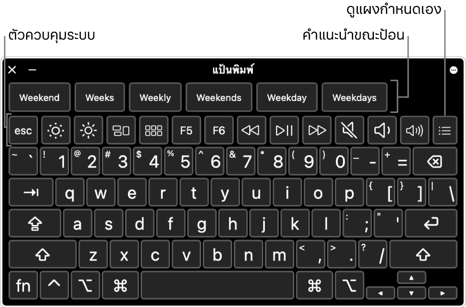 แป้นพิมพ์การช่วยการเข้าถึงที่มีคำแนะนำขณะป้อนทางด้านบนสุด ด้านล่างคือแถวของปุ่มต่างๆ สำหรับการควบคุมระบบเพื่อทำสิ่งต่างๆ เช่น ปรับความสว่างจอภาพและแสดงแผงแบบกำหนดเอง