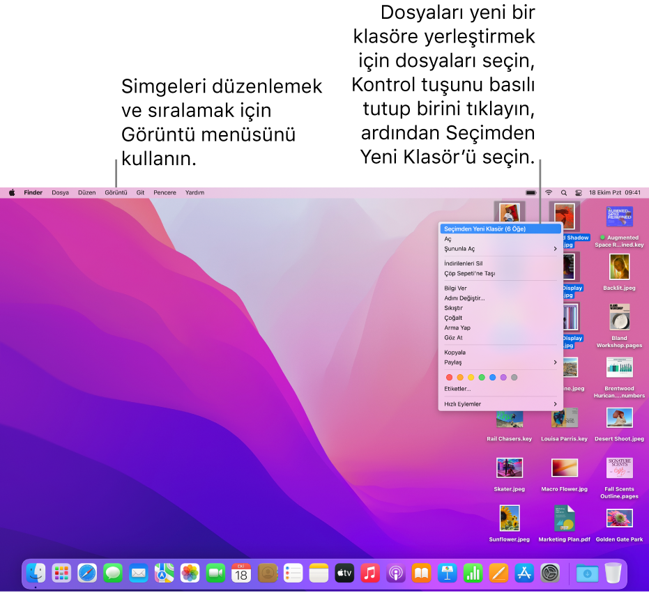Dosyaları ve klasörleri gösteren bir masaüstü. Birçok dosya yeni bir klasöre yerleştirilmek üzere seçilmiş. Kontrol tuşuna basarak seçilen dosyaya tıklandığında bir açılır menü gösteriliyor ve Seçimden Yeni Klasör seçili.