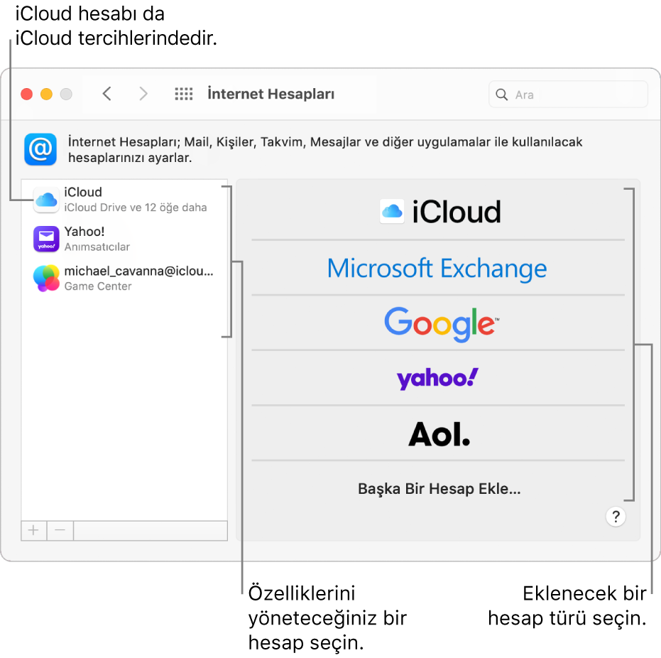 Hesapların sağda, kullanılabilir hesap türlerinin ise solda listelendiği, İnternet Hesapları tercihleri.