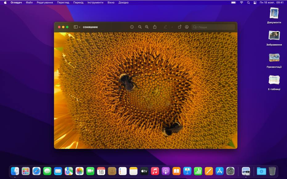 Робочий стіл Mac у темному режимі, на якому відображається вікно відкритої програми, панель Dock і смуга меню.