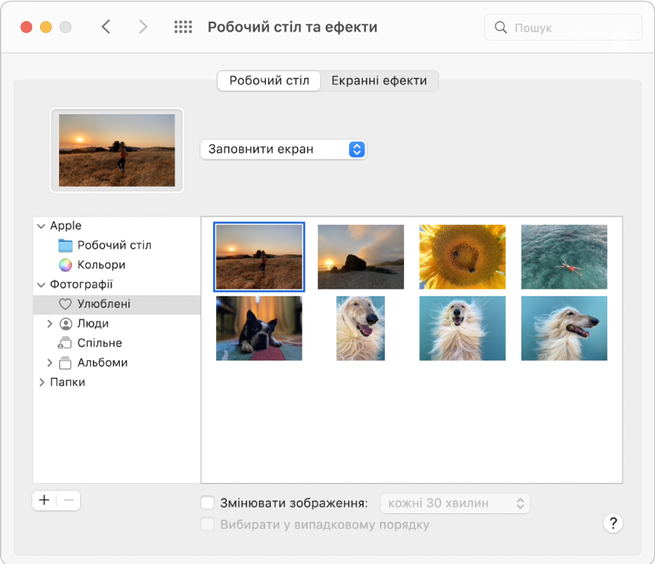 Панель «Робочий стіл» параметрів «Робочий стіл та ефекти». Зліва на панелі вибрано папку «Улюблені»у Фотографіях, справа вибрано фото як зображення робочого столу