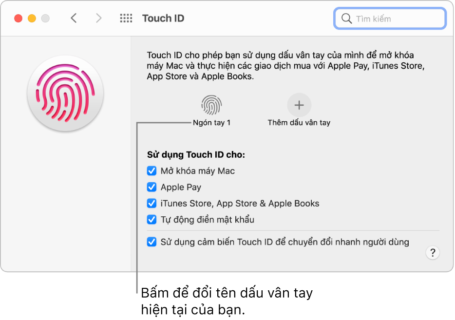 Khung tùy chọn Touch ID đang cho biết dấu vân tay đã sẵn sàng và có thể được sử dụng để mở khóa máy Mac.