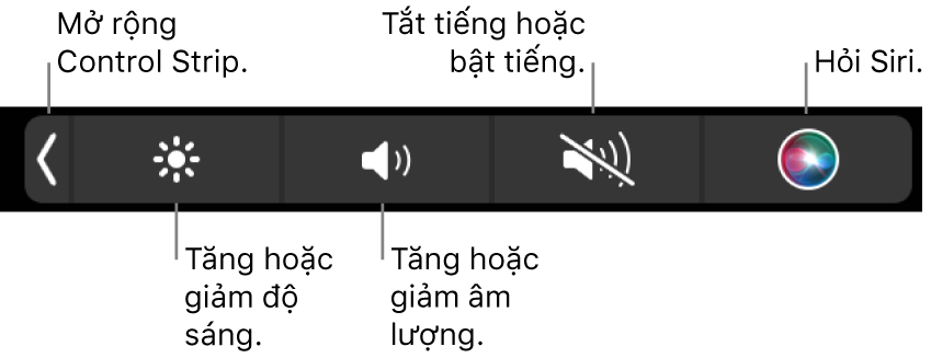 Control Strip được thu gọn bao gồm các nút – từ trái sang phải – để mở rộng Control Strip, tăng hoặc giảm độ sáng màn hình và âm lượng, tắt tiếng hoặc bật tiếng và sử dụng Siri.