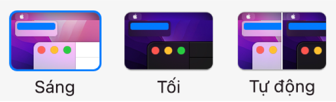 Từ trái sang phải, các mẫu về tùy chọn Sáng, Tối và Tự động được hiển thị trong tùy chọn Cài đặt chung.