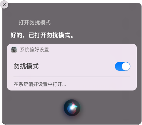 显示完成任务请求（“打开勿扰模式”）的 Siri 窗口。