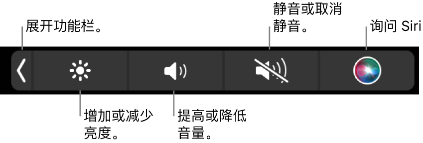 折叠的功能栏包括的按钮从左到右依次为:展开功能栏、增加或减少显示器亮度和音量、静音或取消静音、以及使用 Siri。