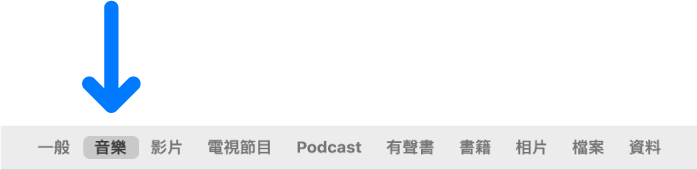 按鈕列顯示已選取「音樂」。