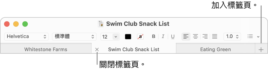「文字編輯」視窗，標籤頁列中有三個標籤頁，位於格式列下方。一個標籤頁顯示「關閉」按鈕。「加入」按鈕位於標籤頁列的最右側。