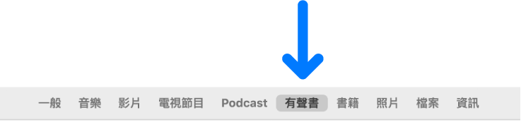 按鈕列顯示「有聲書」已選取。