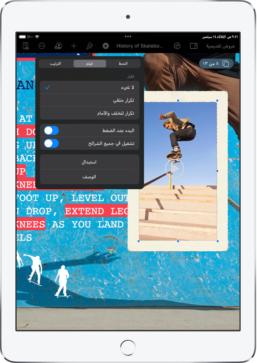 عناصر التحكم في التنسيق لتغيير حجم الفيديو المحدد ومظهره. أزرار النمط والفيلم والترتيب موجودة على طول الجزء العلوي من عناصر التحكم.