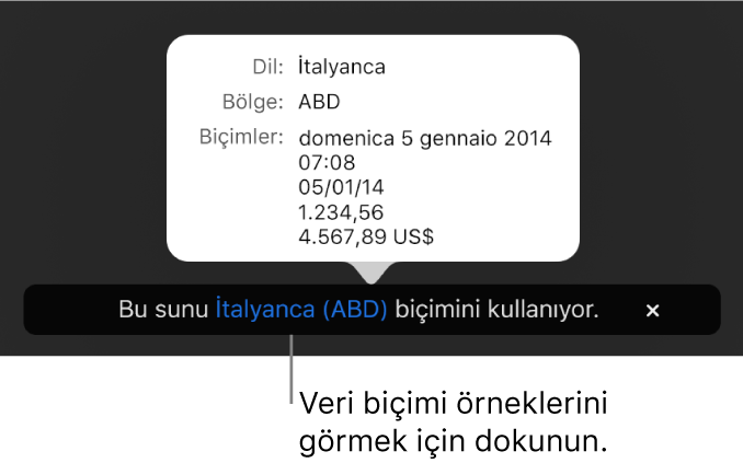 O dil ve bölgede kullanılan biçimlendirme örneklerini gösteren, farklı dil ve bölge ayarı bildirimi.