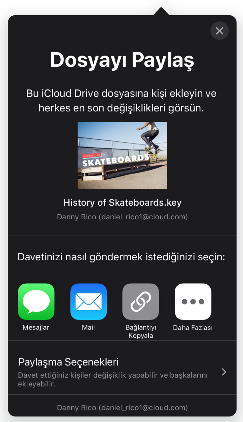 Kişi Ekle ekranı, paylaşılacak sununun bir resmini gösteriyor. Onun altında Mail, Bağlantıyı Kopyala ve Diğer de dahil olmak üzere çeşitli davet gönderme yolları için düğmeler var. En altta Paylaşma Seçenekleri düğmesi bulunuyor.