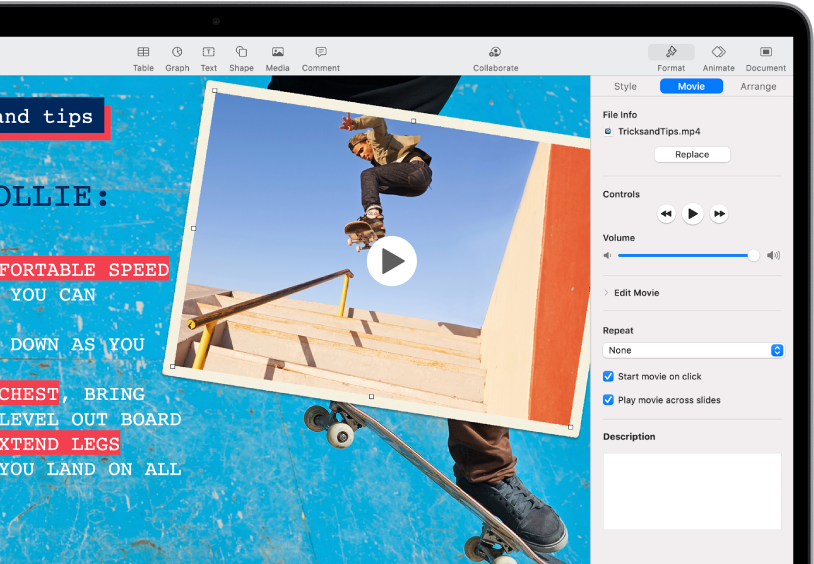 The Format controls on the right side of the screen for changing the size and appearance of the selected video. Style, Film and Arrange buttons are across the top of the Format controls.