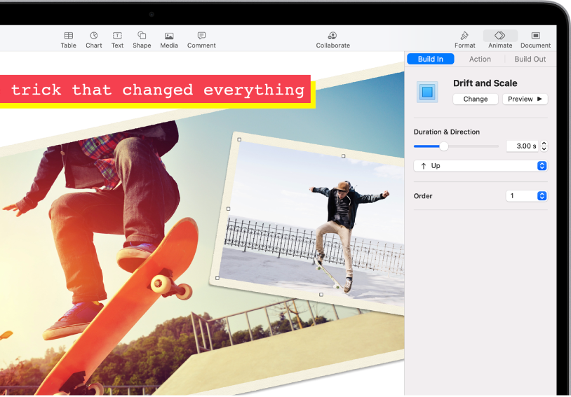 The Animation controls for adding animation to the selected image. Build In, Action, and Build Out buttons are across the top of the sidebar.