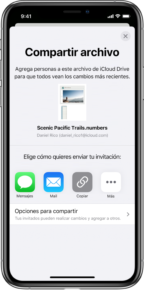 La pantalla “Agregar personas” mostrando una imagen de la hoja de cálculo que se va a compartir. Debajo hay botones con las maneras en que se puede enviar la invitación; incluyendo Mensajes, Correo, “Copiar enlace” y más. En la parte inferior se encuentra el botón Opciones para compartir.