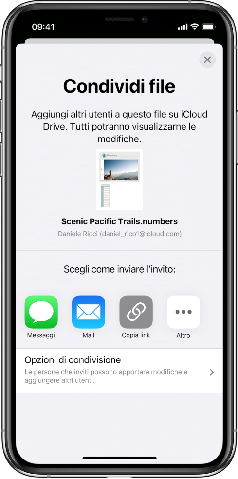 La schermata “Aggiungi persone” che mostra un’immagine del foglio di calcolo da condividere. Al di sotto ci sono i pulsanti delle modalità per inviare l’invito, che includono Messaggi, Mail, “Copia link” e Altro. Nella parte inferiore c'è il pulsante “Opzioni di condivisione”.