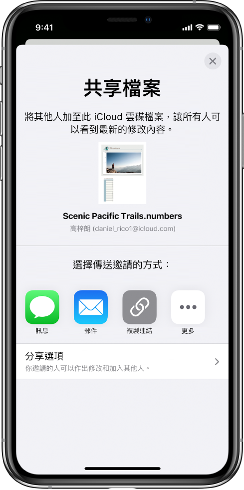 「加入成員」畫面顯示要共享試算表的圖片。其下方為傳送邀請的方式，包括「訊息」及「郵件」、「複製連結」等等。最下方是「分享選項」按鈕。