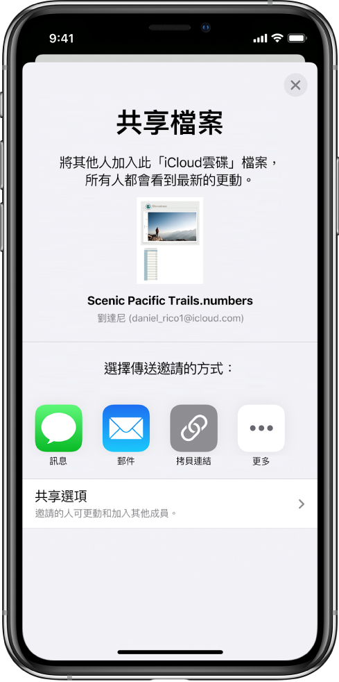 「加入人員」畫面顯示要分享的試算表圖片。下方的按鈕為傳送邀請的方式，包含「訊息」和「郵件」、「拷貝連結」以及「更多」。底部為「分享選項」按鈕。